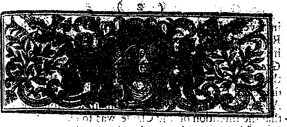 041/041120070000040_1.png