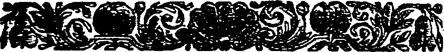 041/041120230002080_0.png