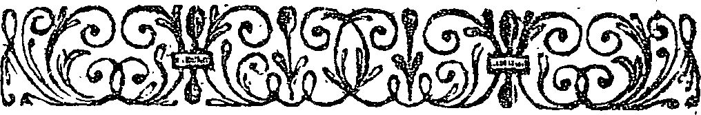 041/041140010000240_1.png
