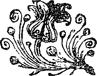 041/041140010000260_0.png