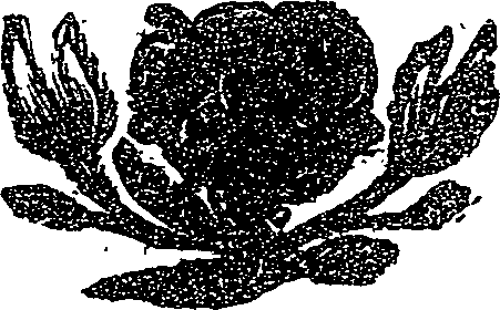 041/041140010001070_0.png