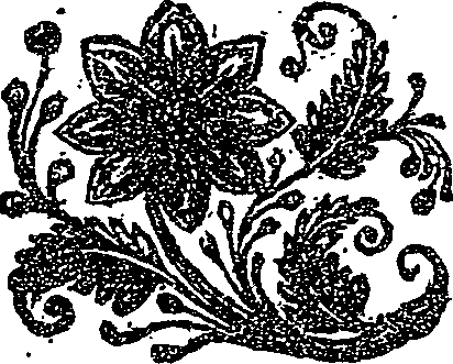 041/041140010001210_0.png