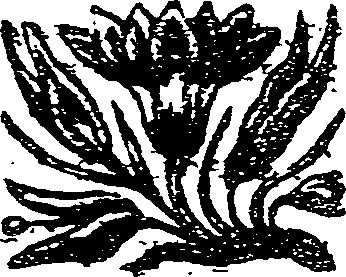 041/041140010001300_0.png