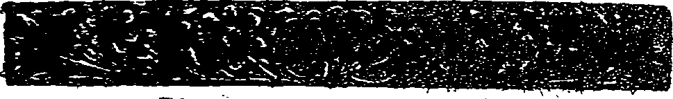041/041140020000450_0.png