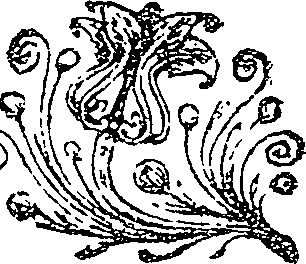 041/041140020000560_0.png