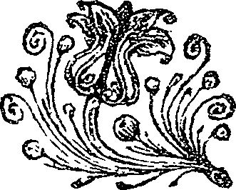 041/041140020000860_0.png