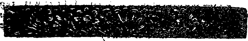 041/041140020000870_0.png