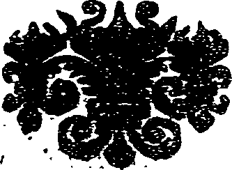 041/041140020000990_0.png