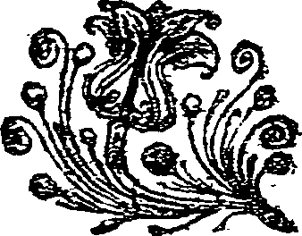 041/041140020001050_0.png