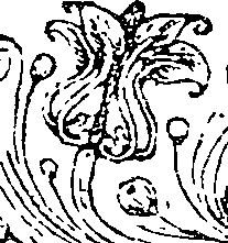 041/041140020001620_0.png