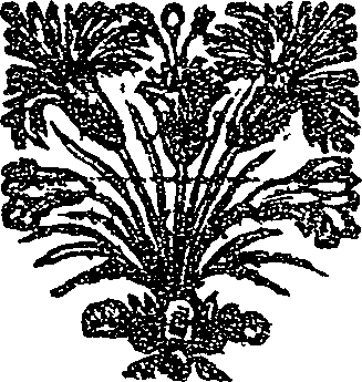 041/041140030000300_0.png