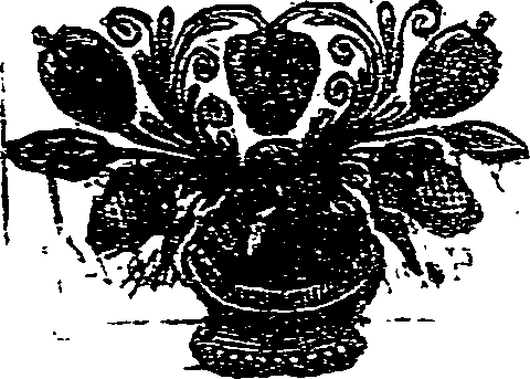 041/041140040000330_0.png