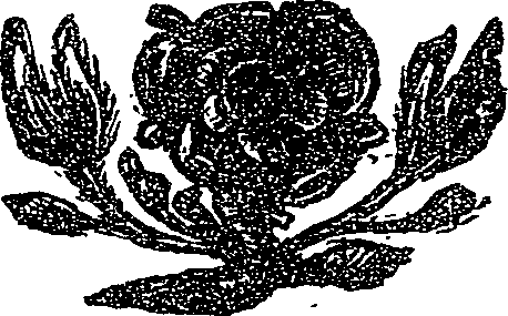 041/041140070000260_0.png