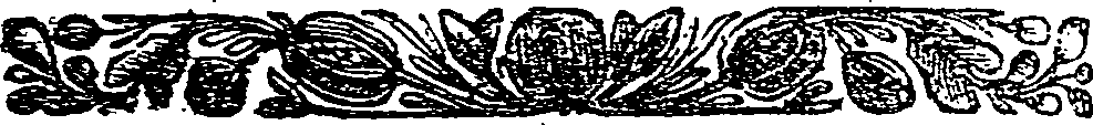 041/041140070001000_0.png