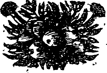 041/041140080001330_0.png