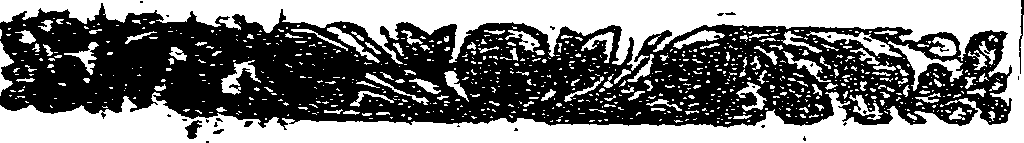 041/041140090000810_1.png