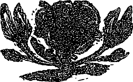 041/041140090001460_0.png