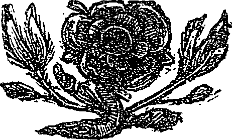 041/041140090001610_0.png