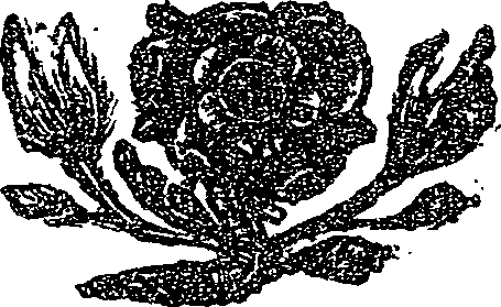 041/041140100000040_0.png