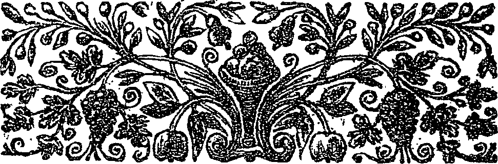 041/041140100000050_2.png