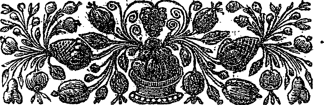 041/041140100001290_1.png
