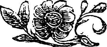 041/041140140000030_0.png