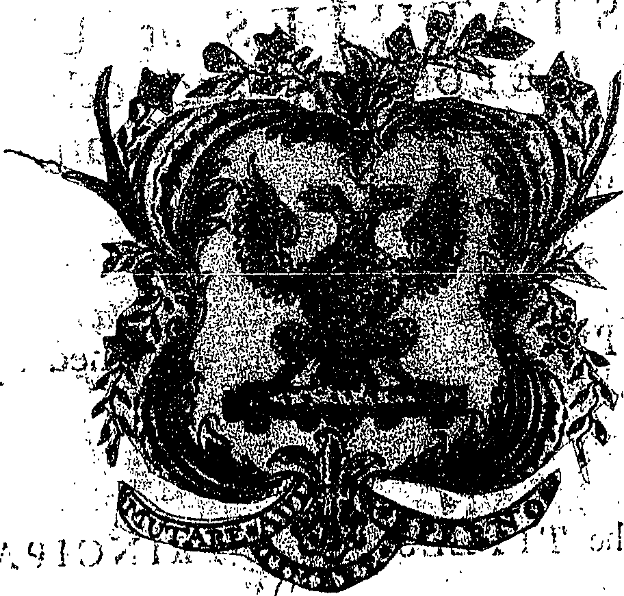 041/041150020000020_1.png