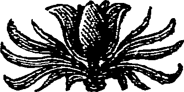 041/041150050000290_0.png