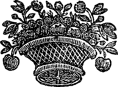 041/041150050000380_0.png