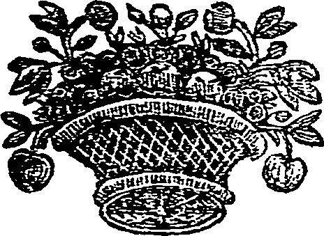 041/041150050000590_0.png