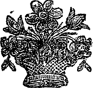 041/041150050001240_0.png