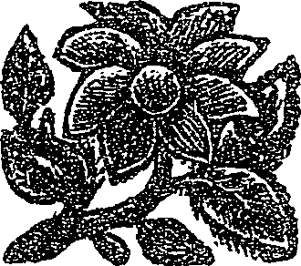 041/041160010000180_0.png