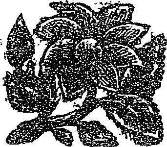 041/041160010000490_0.png
