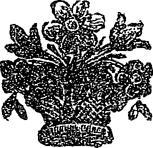 041/041160010001000_0.png