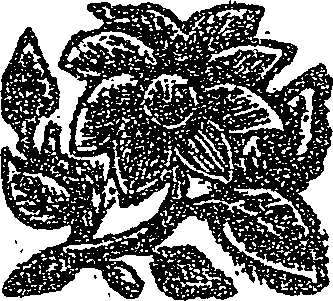 041/041160020000190_0.png