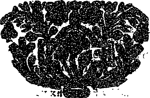 041/041160020000500_0.png