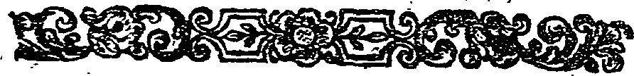 041/041160020000510_1.png
