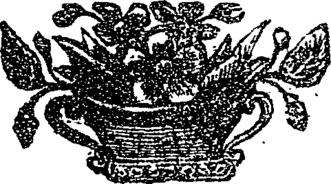 041/041160020000620_0.png