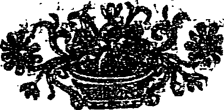 041/041160020000790_0.png