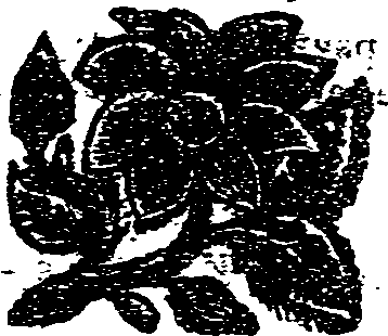041/041160020000970_0.png