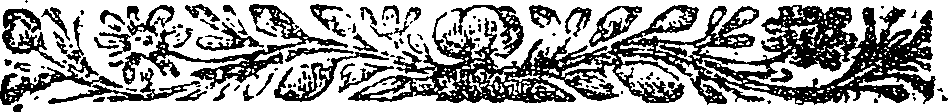 041/041160020001120_0.png