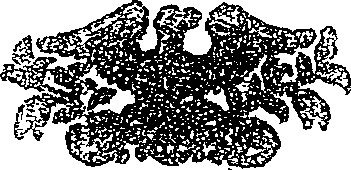 041/041160060000010_0.png