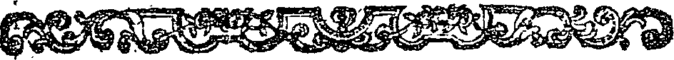 041/041160110002360_1.png