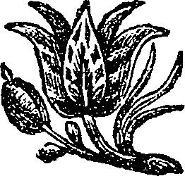 041/041170070000600_0.png