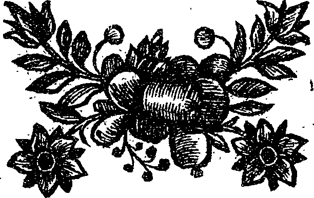 041/041170120000010_0.png