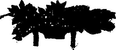 041/041170170000440_0.png