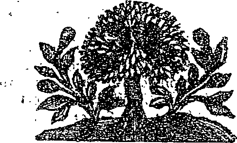 041/041190020000160_0.png