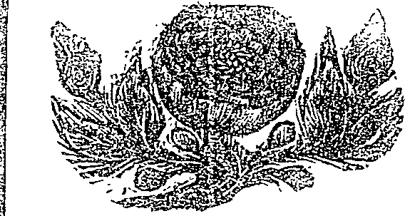 041/041190020000280_0.png