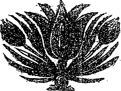 041/041190020000690_0.png