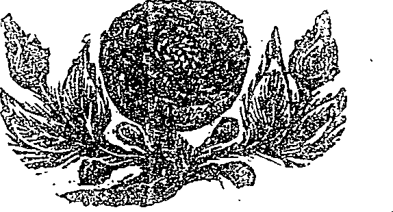 041/041190030000280_0.png